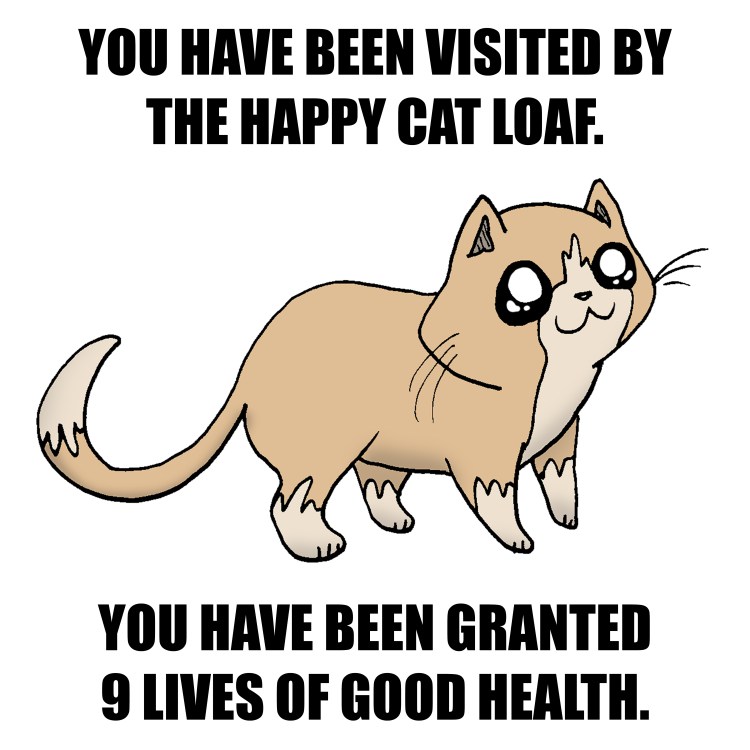 happy cat loaf