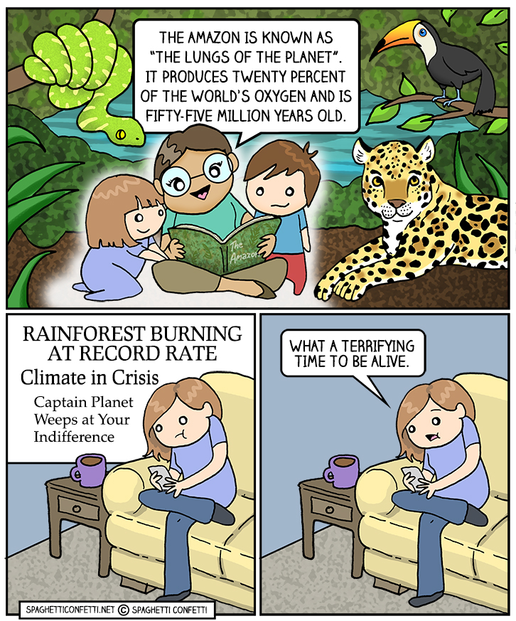 rainforest_110.jpg