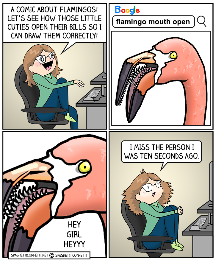 flamingo bill_110