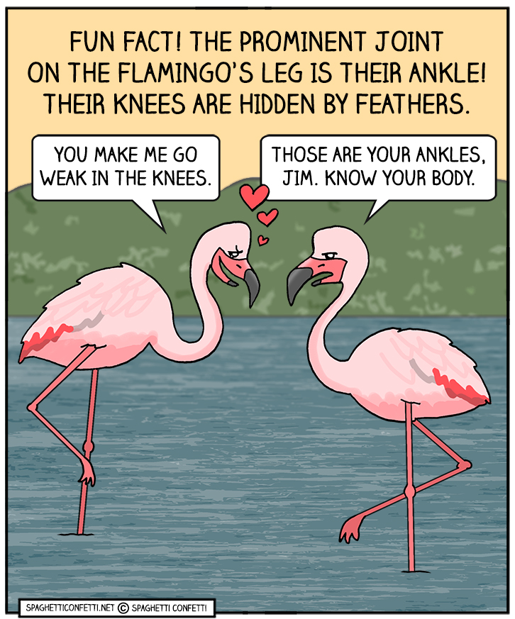 go weak in the knees_110